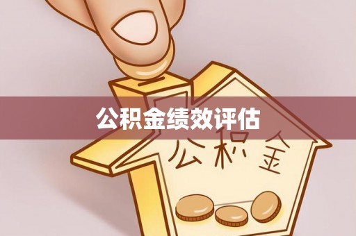 账户公积金绩效评估